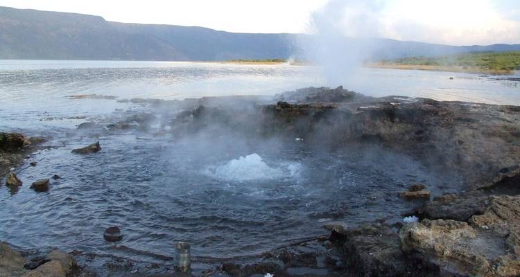 Safari de 6 días por el lago Bogoria, el lago Nakuru, el lago Naivasha y el Maasai Mara - Gracepatt Ecotours Kenya 5