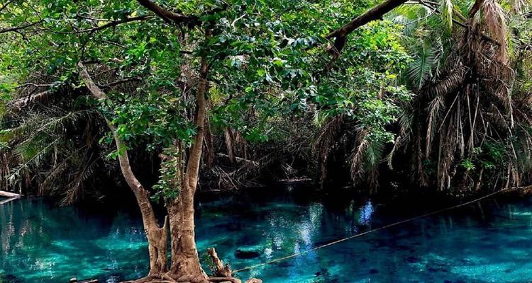 Een serene blauwe lagune omringd door dichte bomen