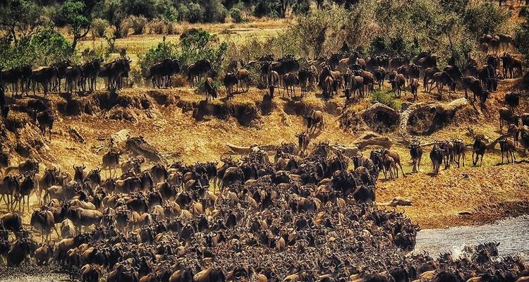 Ultimate 7 days Western Corridor Serengeti Migration Safari. - Africa Natural Tours 2
