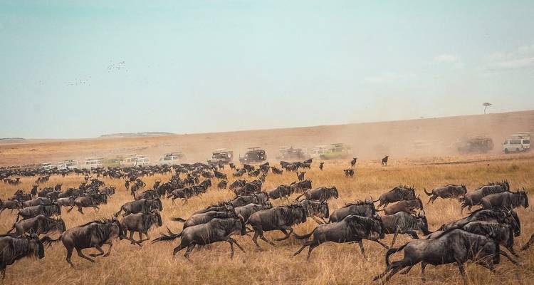 Ultimate 7 days Western Corridor Serengeti Migration Safari. - Africa Natural Tours 3
