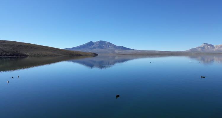 6000er, Vulkane und Salzseen um Putre und Sajama - ThomasWilkenSuedamerikatours 4