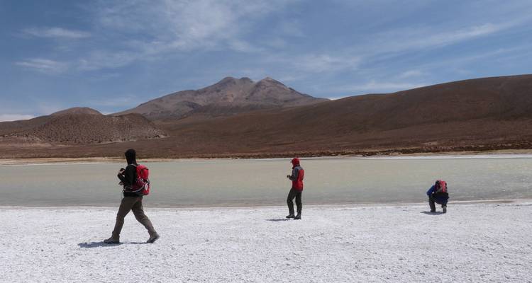6000er, Vulkane und Salzseen um Putre und Sajama - ThomasWilkenSuedamerikatours 7