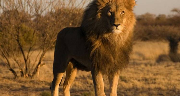 Namibia Highlights - Paradise Reise Service 2