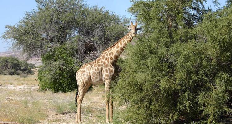 Namibia Highlights - Paradise Reise Service 4