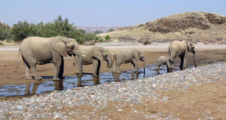 Namibia Highlights - Paradise Reise Service 6
