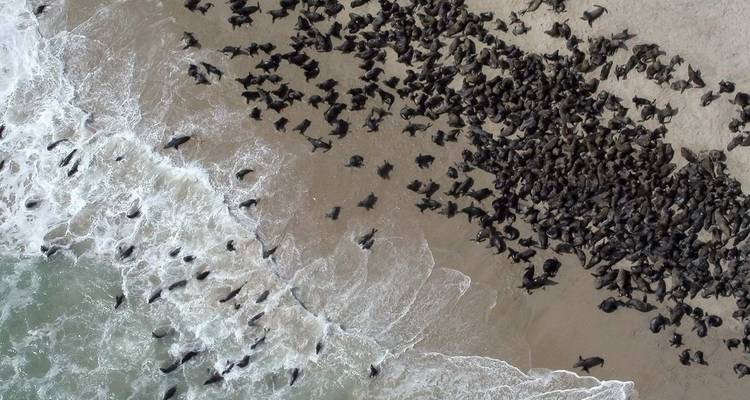 Namibia Highlights - Paradise Reise Service 7