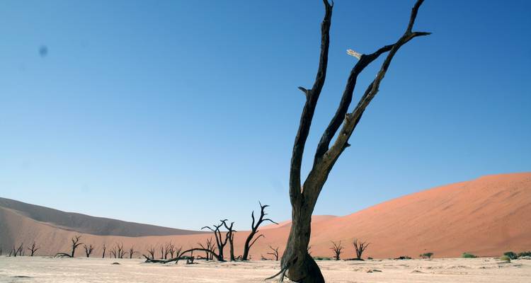 Namibia Highlights - Paradise Reise Service 9