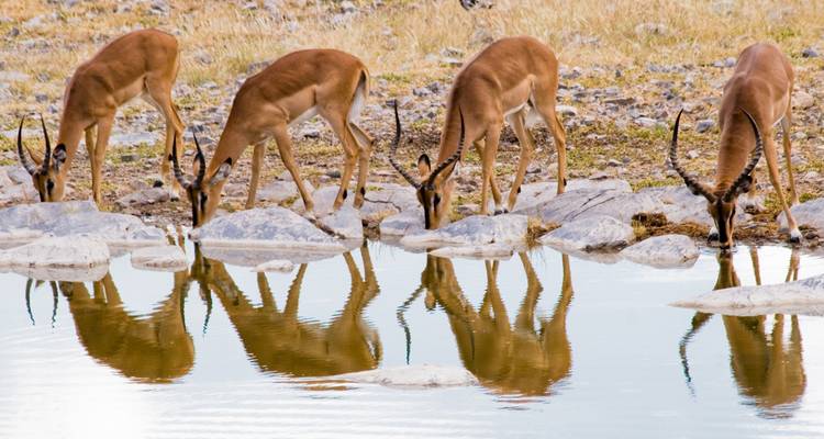 Namibia Highlights - Paradise Reise Service 10