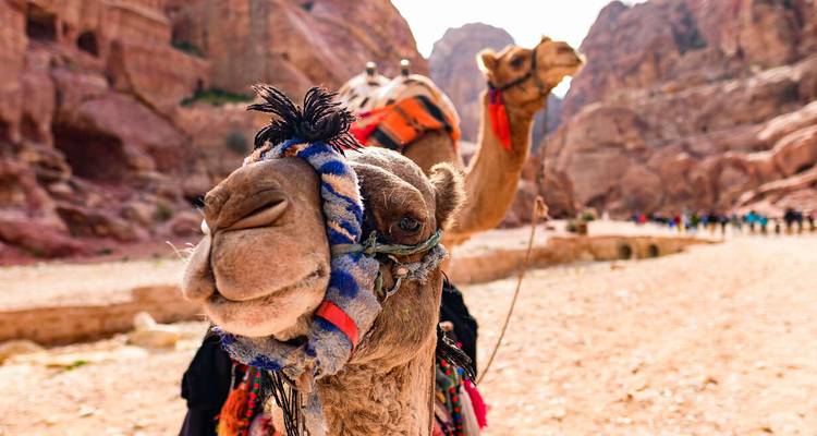 El sabor de Jordania - Petra y Wadi Rum (Nuevo) - Explore! 10