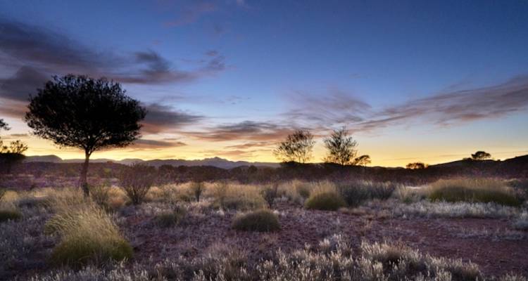 Trek The Larapinta Trail (Camping) - Autopia Tours 2