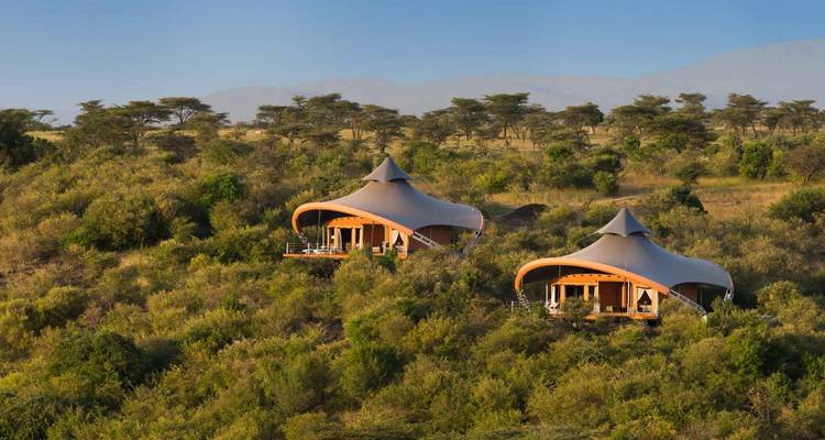 10 jours de safari au Kenya pour la lune de miel - Gracepatt Ecotours Kenya 3