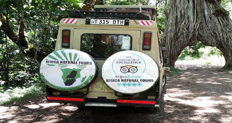 Safari animalier exceptionnel en Afrique à un prix raisonnable - 12 jours - Africa Natural Tours 3
