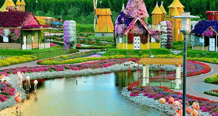 Exquisite Arabian Adventure: A Mesmerizing Multi-Day Tour Package 11 Days 10 Nights - Booking Tours 4