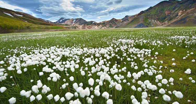 3 Days Private Super Jeep Tour | Landmannalaugar, Golden Circle and South Coast - Marina Travel 4