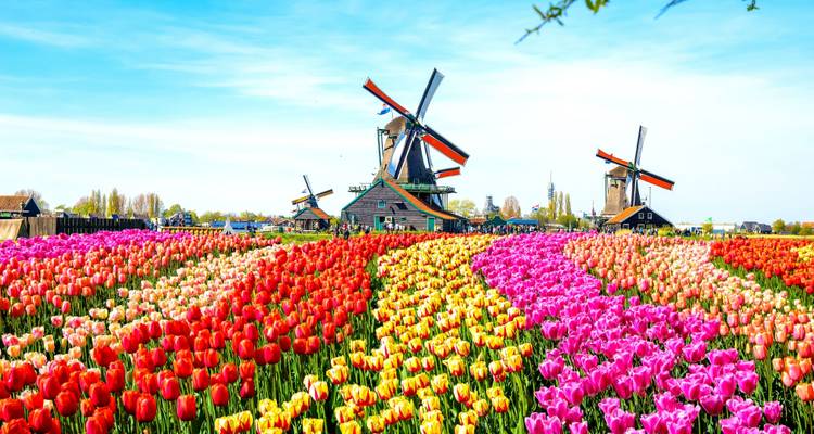 Les 3 premières villes d'Europe - Wonderful Holidays UK 6