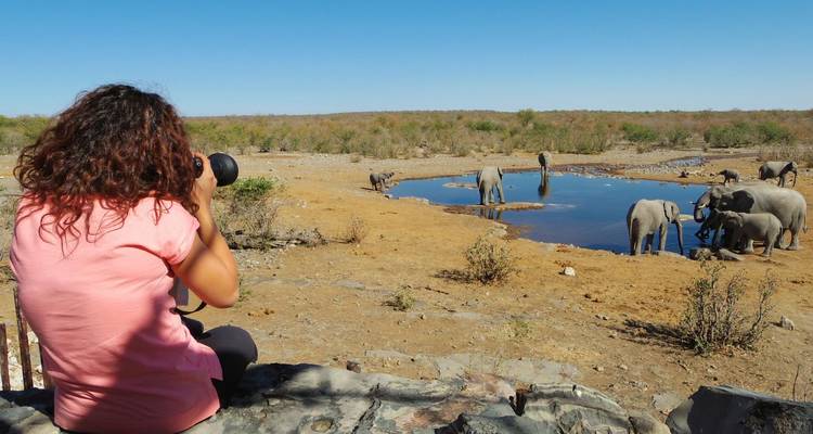 Una mujer fotografía elefantes bebiendo en un abrevadero remoto en la sabana seca.