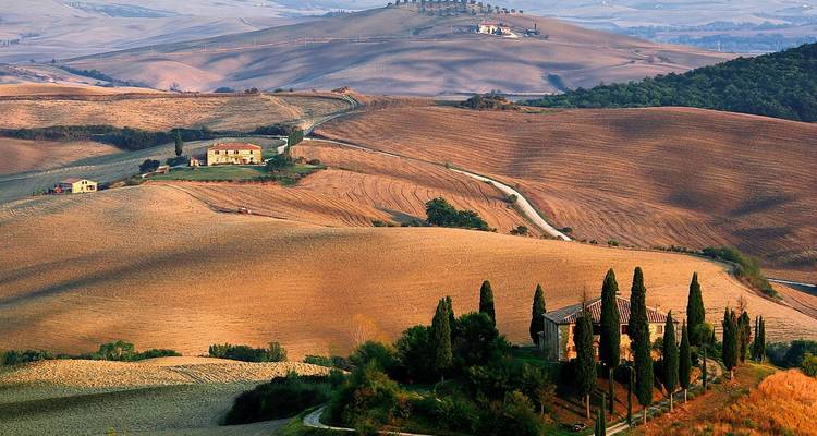 Rolling hills and cypress trees in Tuscany.