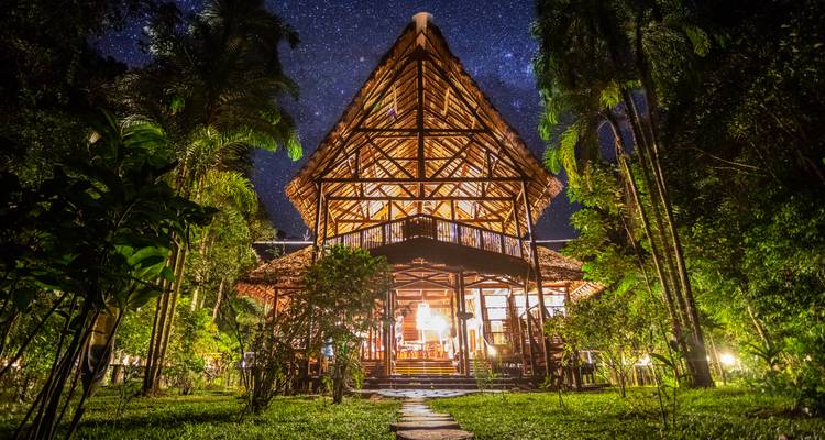 Night-time view of a lit jungle lodge under a star-filled sky, framed by lush rainforest greenery.