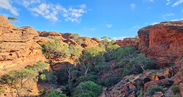 Exuberante bolsillo de vegetación verde en medio de las imponentes paredes de roca roja del Cañón de los Reyes bajo un cielo azul