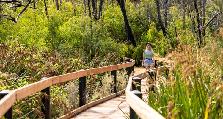 Pinnacles Lobster Yanchep Day Tour Experience - Autopia Tours 4