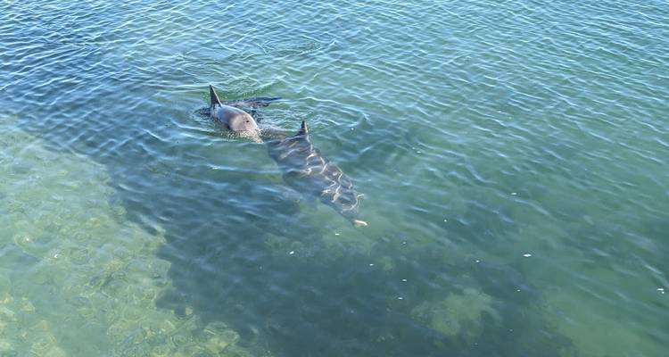 Perth - Exmouth et retour - Adventure Tours Australia 8