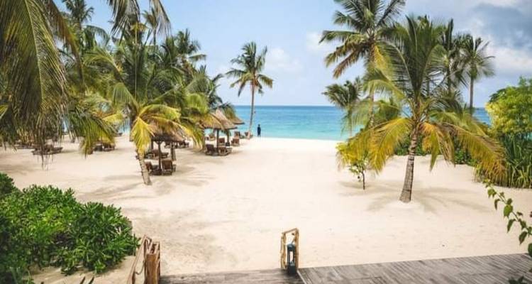 Vacances de 3 jours à Zanzibar - Click Expeditions 6
