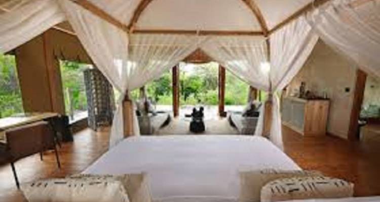 El perfecto circuito familiar de 6 días por Tanzania con precios razonables. - Africa Natural Tours 3