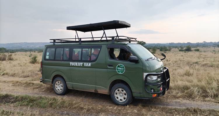 5 jours de safari en Ouganda pour observer les gorilles et la faune sauvage - Primate World Safaris (U) Ltd 6