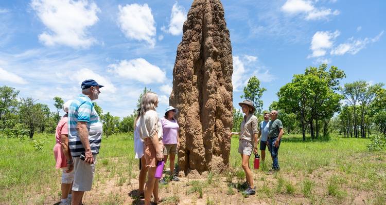 Circuit de 3 jours à Kakadu et Litchfield en 4x4 pour une aventure douce (camping) - Autopia Tours 2