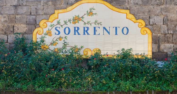 Venise, Florence, Sorrente, Rome : essentiel - hôtels 3* circuit à faible émission de carbone en train - Meet and Greet Italy 4