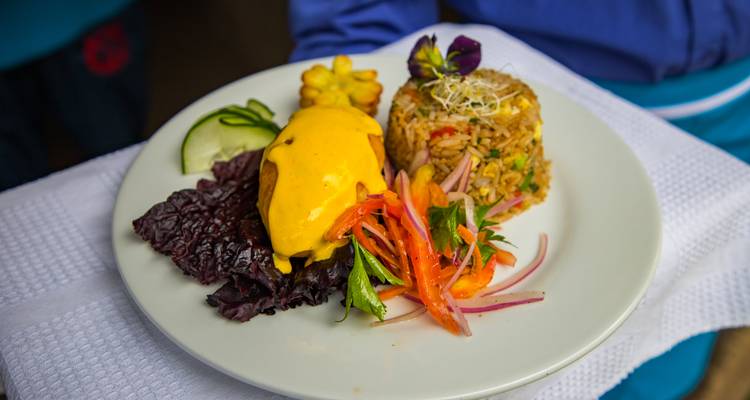 Teller mit buntem und appetitlichem Essen.
