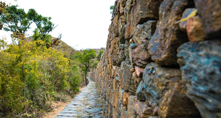 Ancien sentier de pierre traversant la végétation.