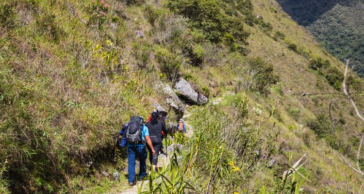Camino inca corto a Machu Picchu 2 días con campamento - TreXperience 7