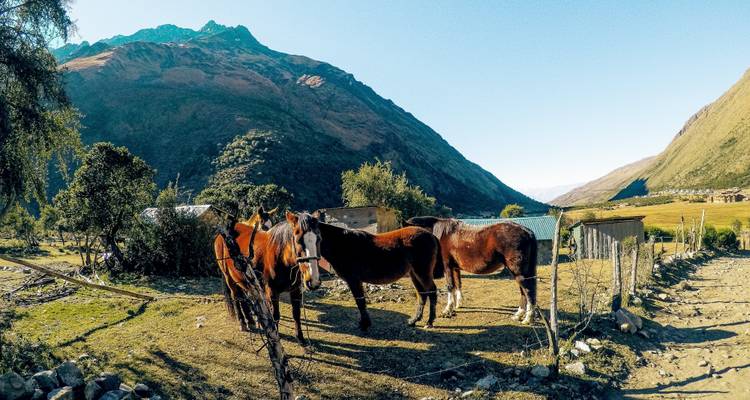 Excursión de día completo al Lago Humantay desde Cusco - TreXperience 2