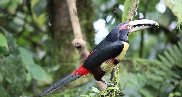 Ciclismo en Ecuador - explorar las maravillas naturales del país sobre dos ruedas - Authentic Ecuador 3