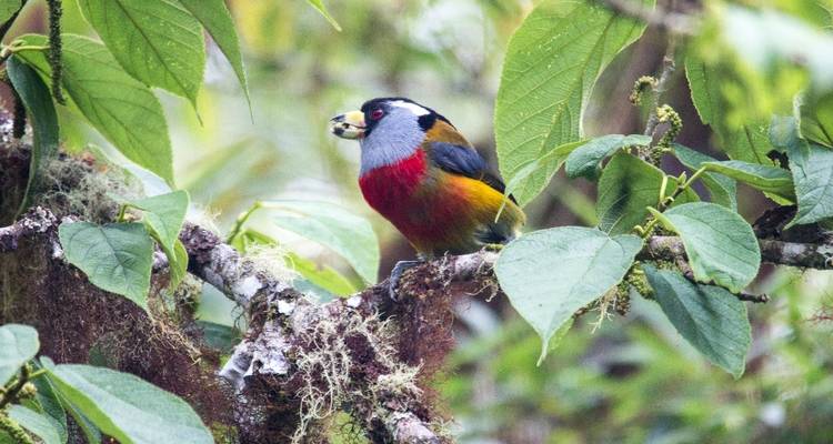 Ciclismo en Ecuador - explorar las maravillas naturales del país sobre dos ruedas - Authentic Ecuador 4