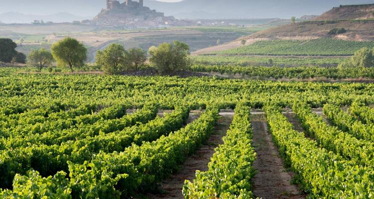 Sensations du Pays Basque - Omega Tours 6