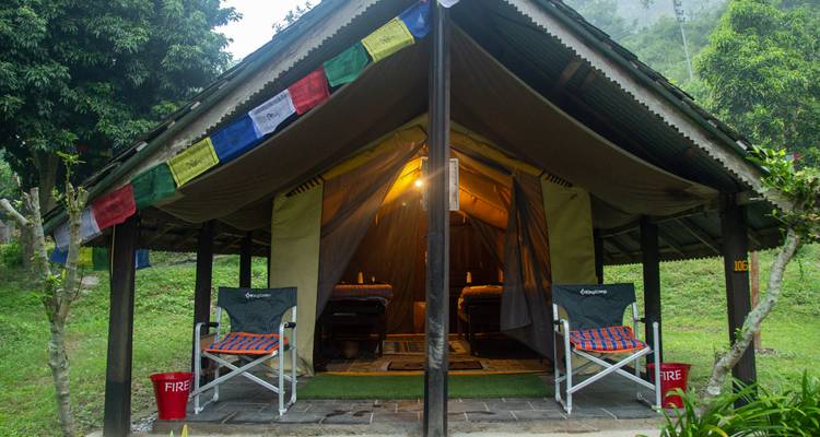 Canvas glamping tent lit warmly inside, set amid lush greenery with prayer flags overhead