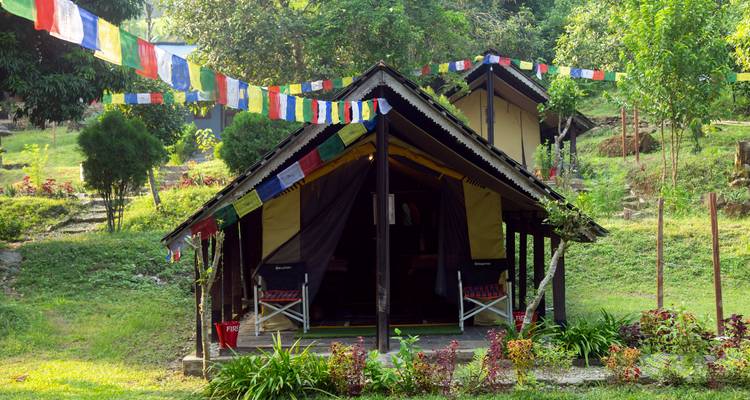 Daytime view of eco camp tents with colorful prayer flags set in a verdant clearing