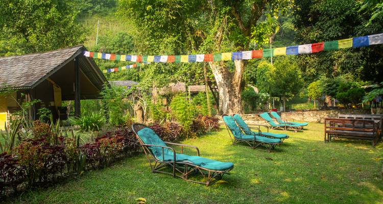 Lawn with reclining chairs beneath prayer flags in a leafy camp garden