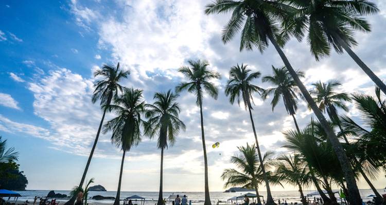 Geluxe : Costa Rica : Péninsule d'Osa & Parc national Manuel Antonio - G Adventures 6
