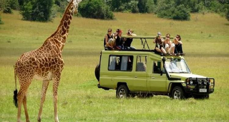 Le meilleur circuit familial de 8 jours en Tanzanie à un prix raisonnable - Africa Natural Tours 1