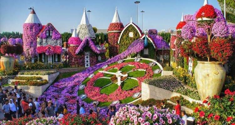 Emirates Enchantment: A 9-Day Adventure of Glamour and Heritage - Booking Tours 1