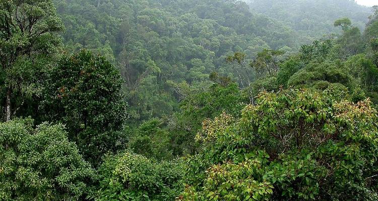 Madagascar Wildlife Safari Tour (Available all year) - HT Agency Tours 2
