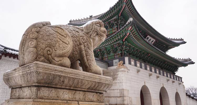 Epic 9 Day K-Pop Tour: Discover South Korea's Top Hits - The Dragon Trip 2