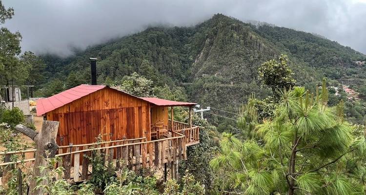A wooden cabin overlooking a misty forested valley.