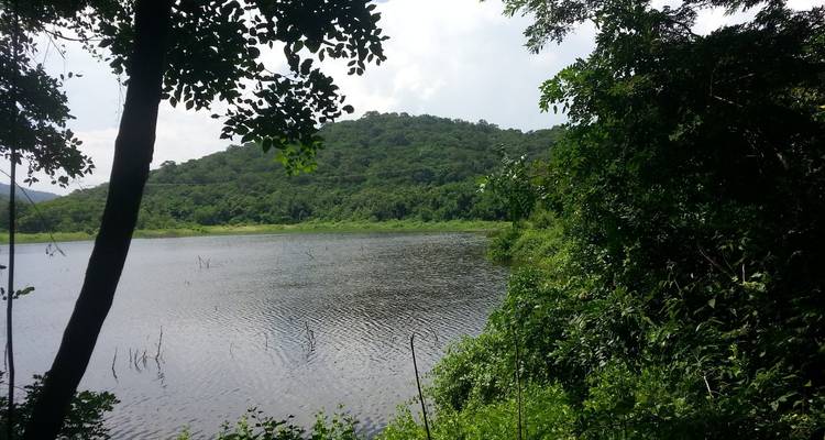 A serene lake surrounded by lush greenery and trees.