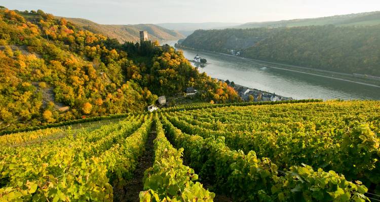 Moselradweg | Individuelle Radreise | Trier bis Koblenz | 6 Tage - Terranova Touristik 4
