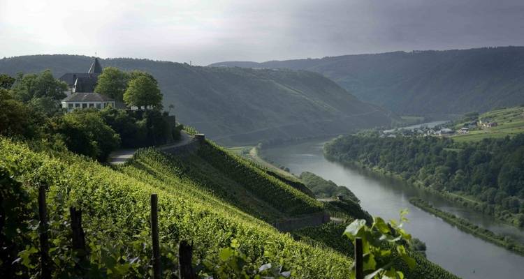 Moselradweg | Individuelle Radreise | Trier bis Koblenz | 6 Tage - Terranova Touristik 8