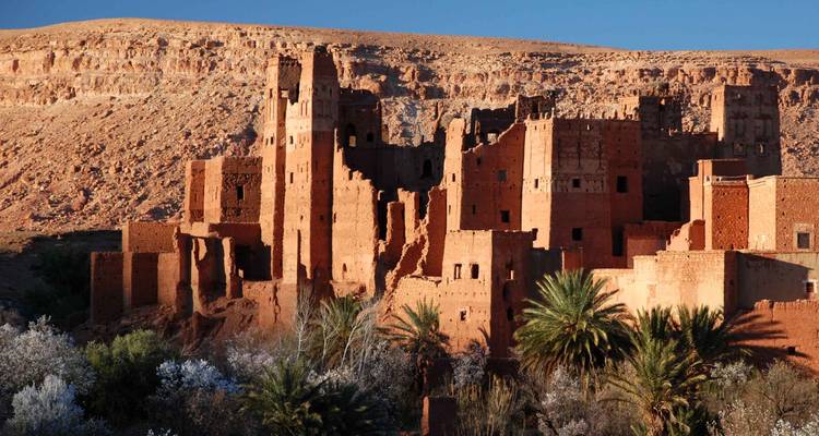 Grand Southern Morocco Sahara Desert Tour – 8 Days - Desert vie  4